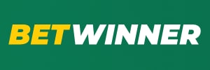 Bet bet casino